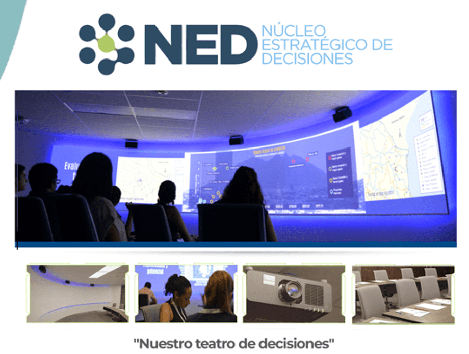 NED Núcleo estratégico de decisiones